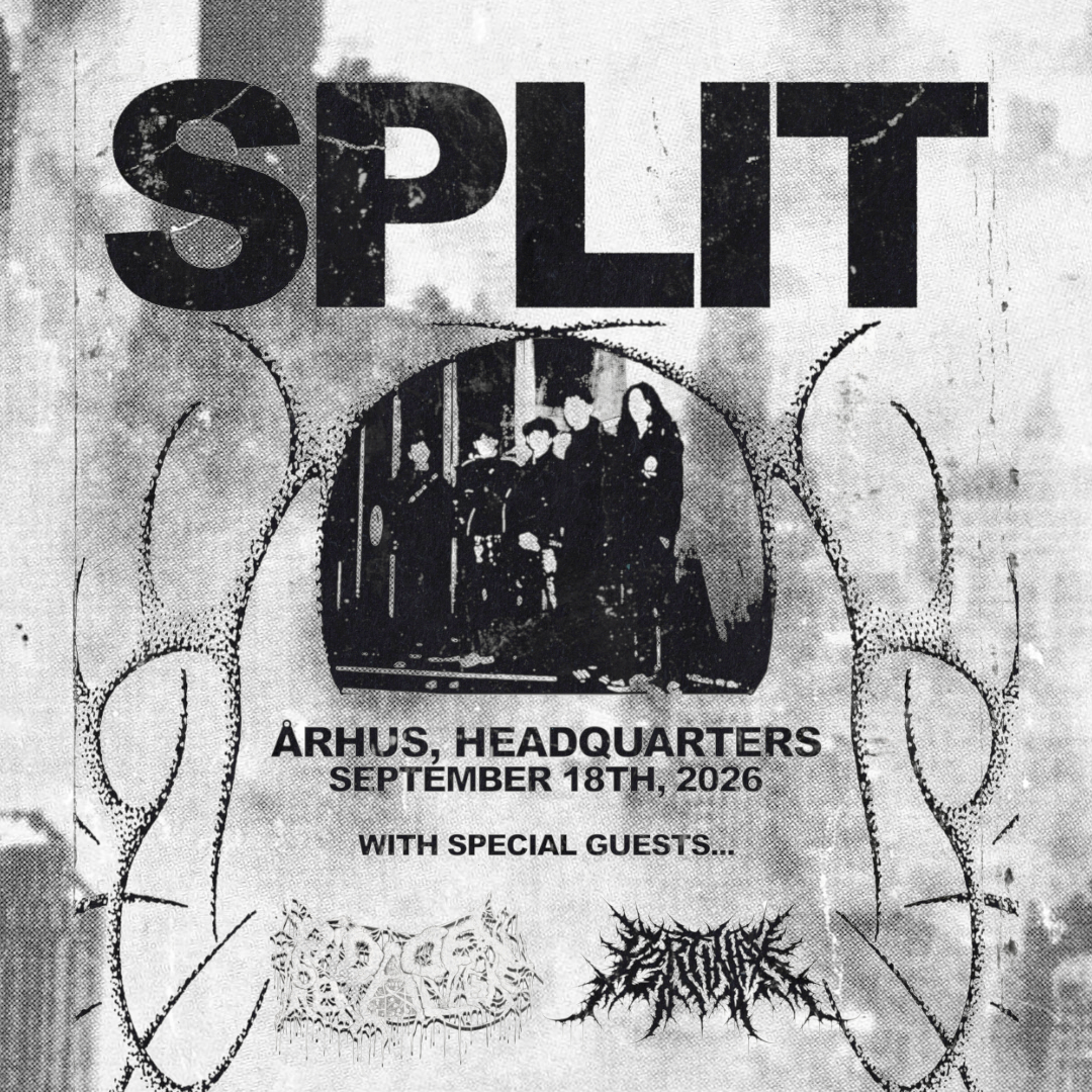 SPLIT + Special Guests: Rådden Rektalvæske + Pertinax